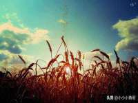 淮安风之帆网络科技有限公司