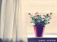 淮安风之帆网络科技有限公司