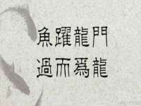 淮安风之帆网络科技有限公司