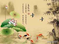 淮安风之帆网络科技有限公司