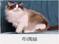 淮安风之帆网络科技有限公司