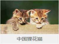 淮安风之帆网络科技有限公司