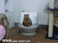 淮安风之帆网络科技有限公司