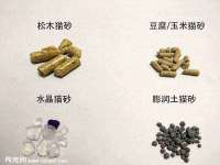 淮安风之帆网络科技有限公司