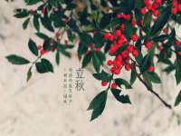 淮安风之帆网络科技有限公司