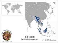 淮安风之帆网络科技有限公司