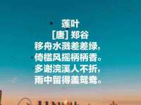 淮安风之帆网络科技有限公司