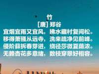 淮安风之帆网络科技有限公司