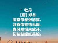 淮安风之帆网络科技有限公司