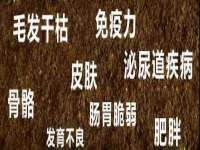 淮安风之帆网络科技有限公司