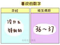 淮安风之帆网络科技有限公司