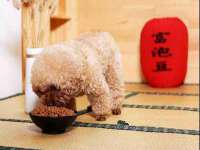 淮安风之帆网络科技有限公司