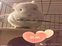 淮安风之帆网络科技有限公司