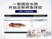 淮安风之帆网络科技有限公司