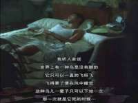 淮安风之帆网络科技有限公司