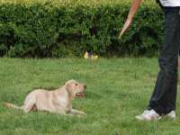 淮安风之帆网络科技有限公司