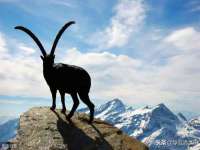 淮安风之帆网络科技有限公司