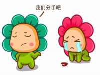 淮安风之帆网络科技有限公司