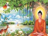 淮安风之帆网络科技有限公司